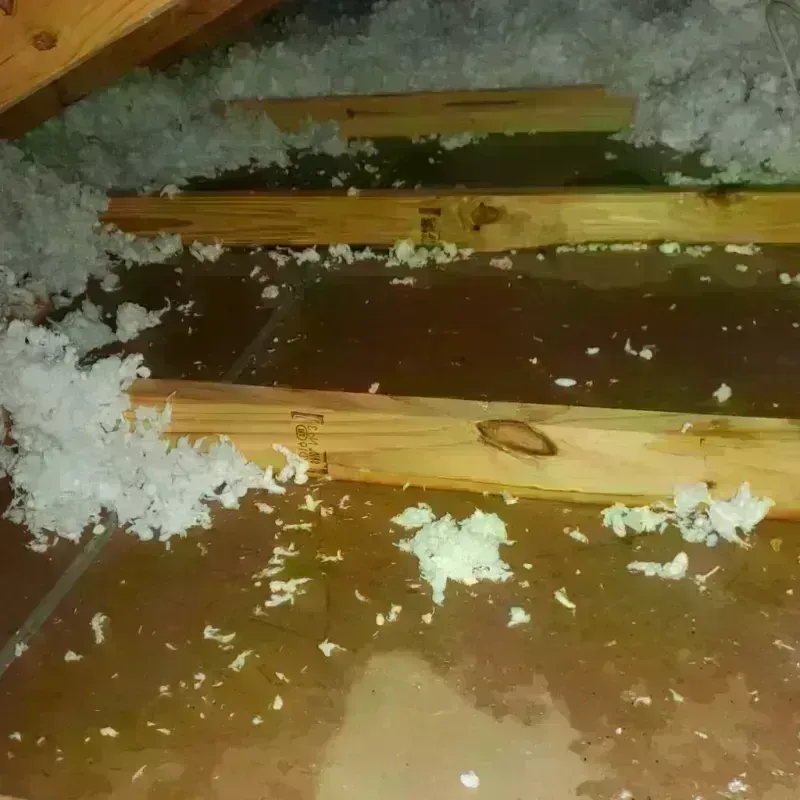 Attic Water Damage in Lake City, CO