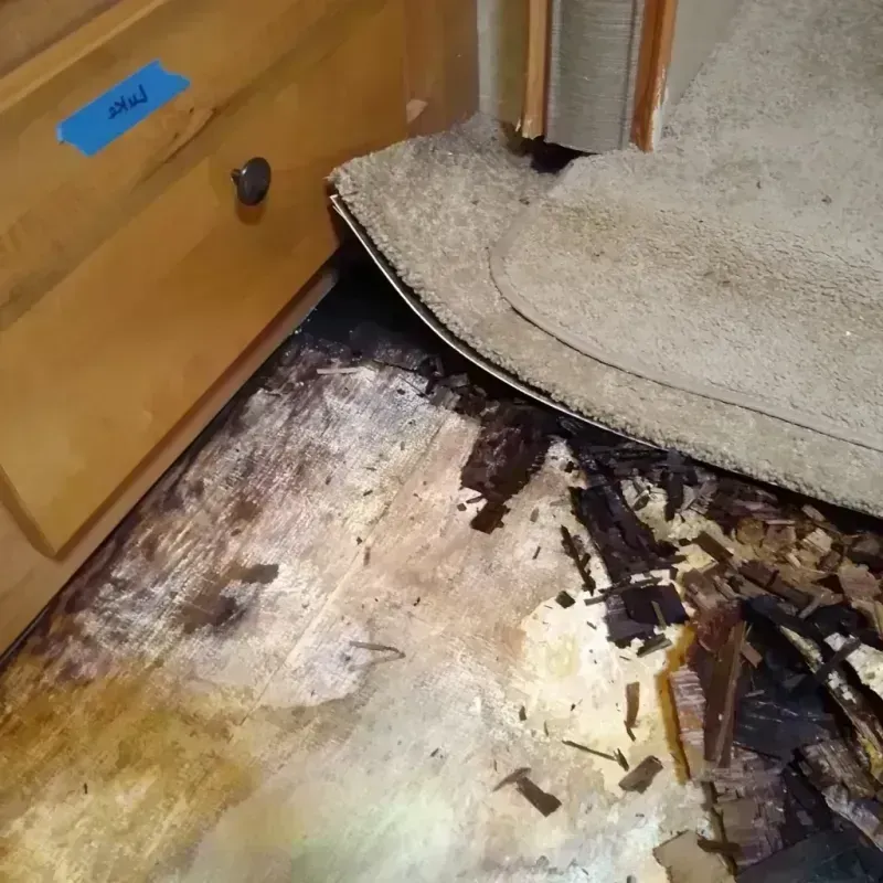 Wood Floor Water Damage in Lake City, CO